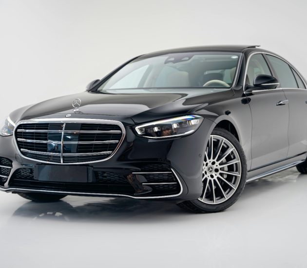 Business Chauffeur S Klasse mit Kunden vor Wiener Oper.